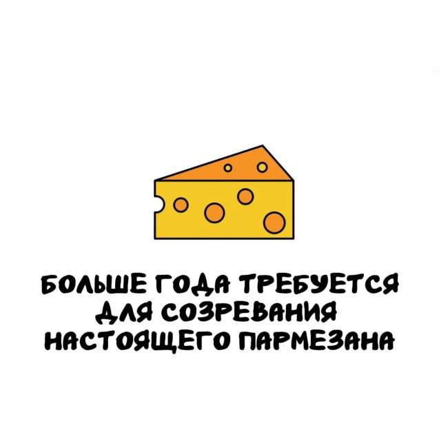 Интересные факты на все случаи жизни Интересные факты на все случаи жизни