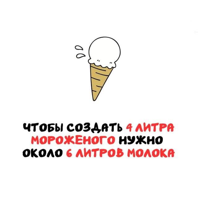 Интересные факты на все случаи жизни Интересные факты на все случаи жизни