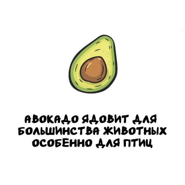 Интересные факты на все случаи жизни Интересные факты на все случаи жизни