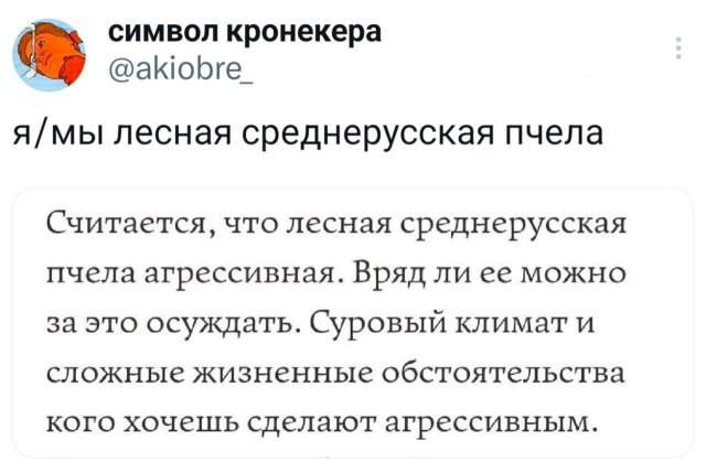 Подборка забавных твитов обо всем