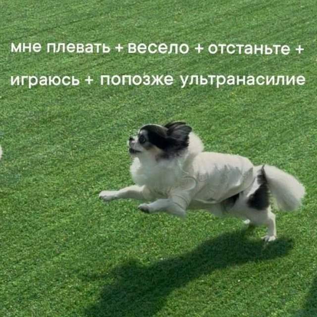 Смешные мемы - 31.07.2025 Смешные мемы - 31.07.2025
