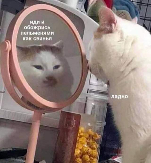 Смешные мемы - 31.07.2025 Смешные мемы - 31.07.2025