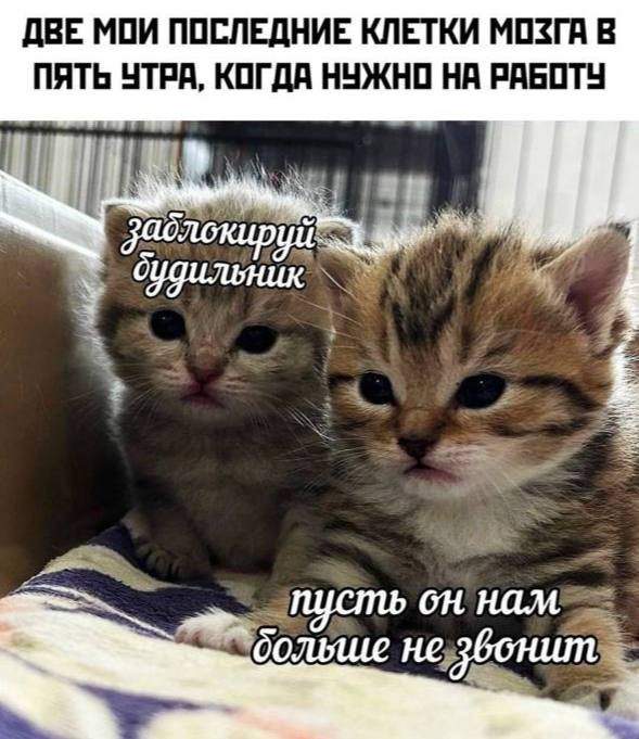 Смешные мемы - 31.07.2025 Смешные мемы - 31.07.2025