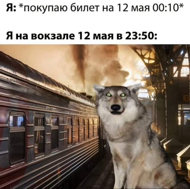 Смешные мемы - 01.08.2025
