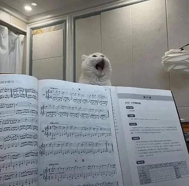 Мемы для тех, кто любит музыку Мемы для тех, кто любит музыку