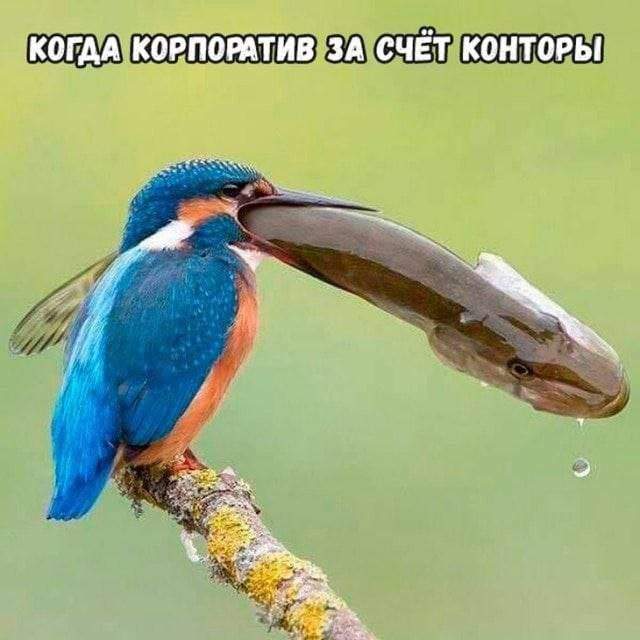 Смешные картинки - 01.08.2025 Смешные картинки - 01.08.2025