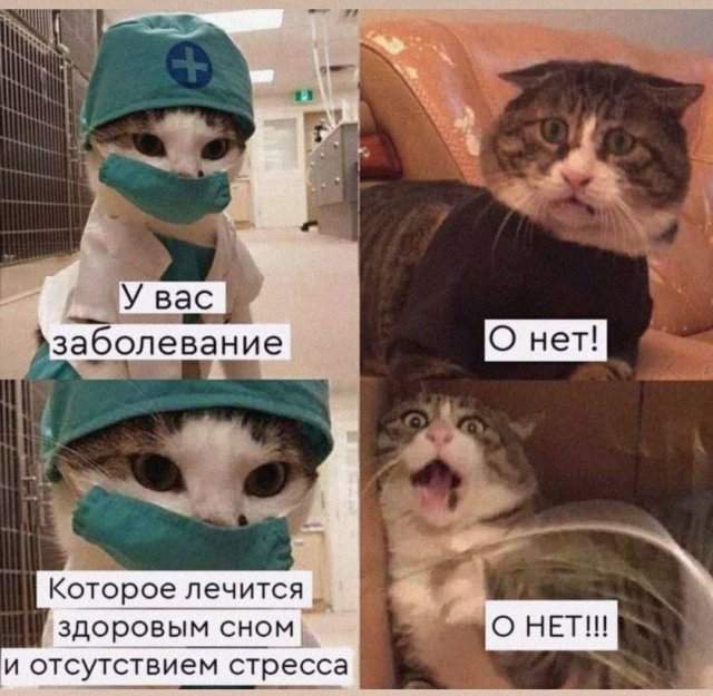 Смешные картинки - 01.08.2025 Смешные картинки - 01.08.2025