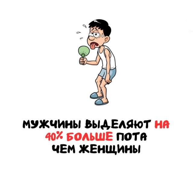 Интересные факты на все случаи жизни