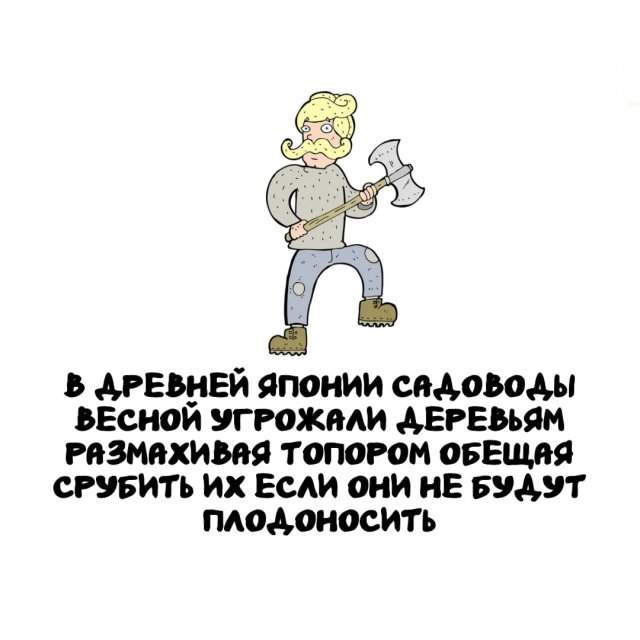 Интересные факты на все случаи жизни Интересные факты на все случаи жизни