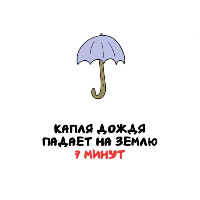 Интересные факты на все случаи жизни Интересные факты на все случаи жизни