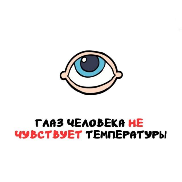 Интересные факты на все случаи жизни Интересные факты на все случаи жизни