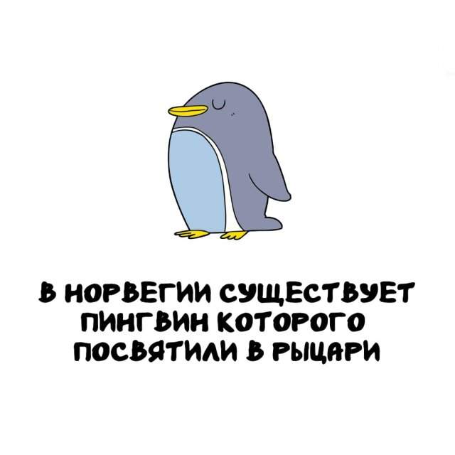 Интересные факты на все случаи жизни Интересные факты на все случаи жизни