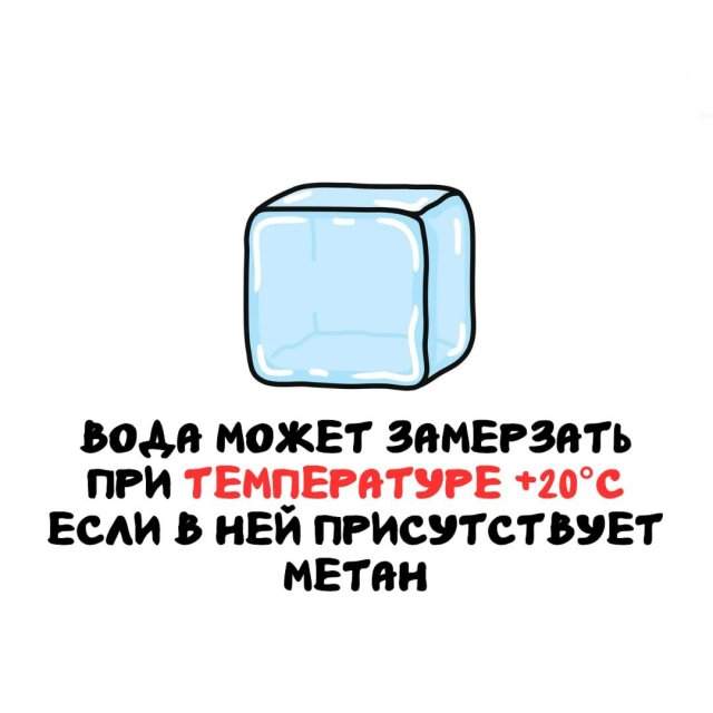 Интересные факты на все случаи жизни Интересные факты на все случаи жизни