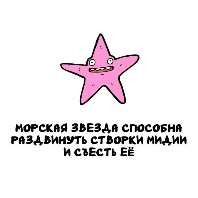 Интересные факты на все случаи жизни Интересные факты на все случаи жизни