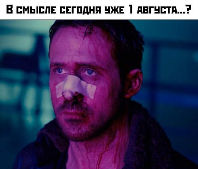 Подборка картинок. Вечерний выпуск - 01.08.2025 Подборка картинок. Вечерний выпуск - 01.08.2025