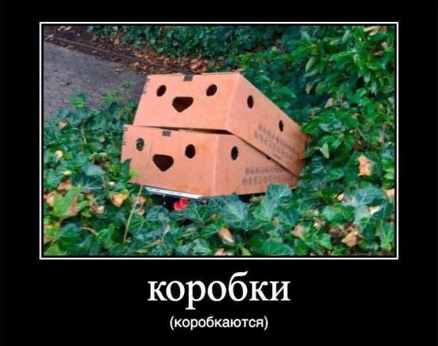 Демотиваторы - 01.08.2025