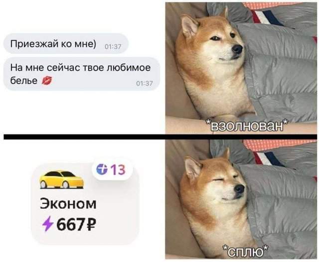 Лучшие шутки и мемы из Сети - 01.08.2025 Лучшие шутки и мемы из Сети - 01.08.2025