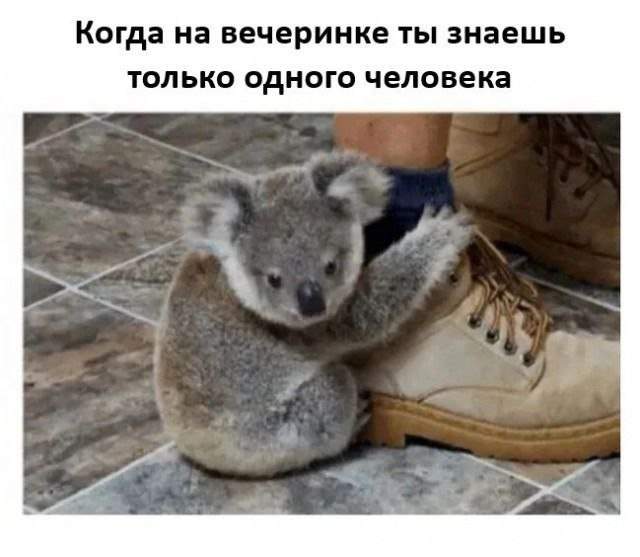 Смешные мемы - 04.08.2025 Смешные мемы - 04.08.2025