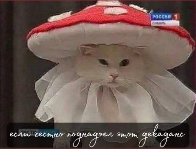 Смешные мемы - 06.08.2025