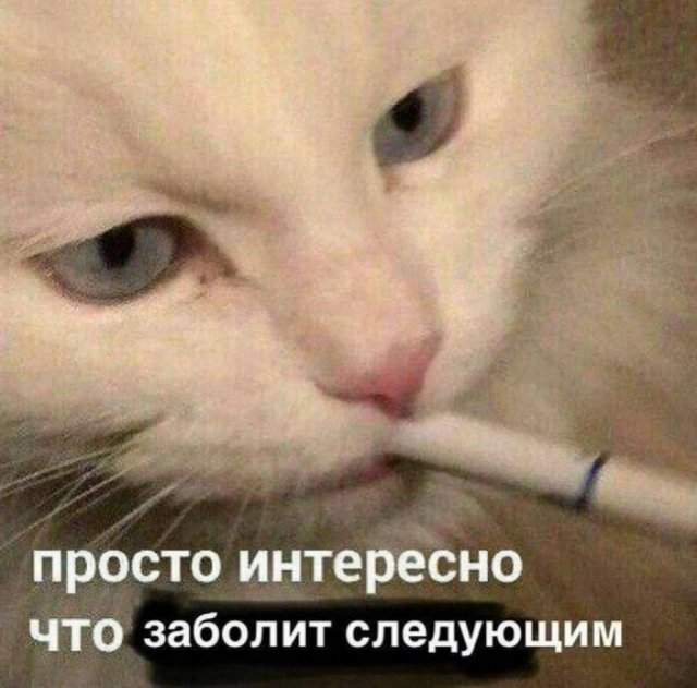 Смешные мемы - 06.08.2025