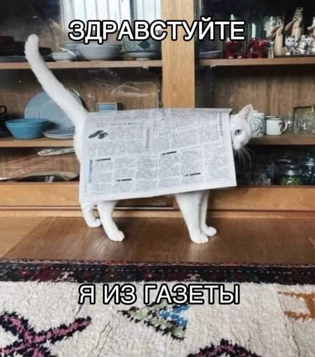 Лучшие шутки и мемы из Сети - 06.08.2025