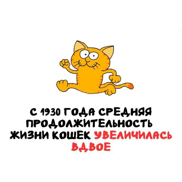 Интересные факты на все случаи жизни