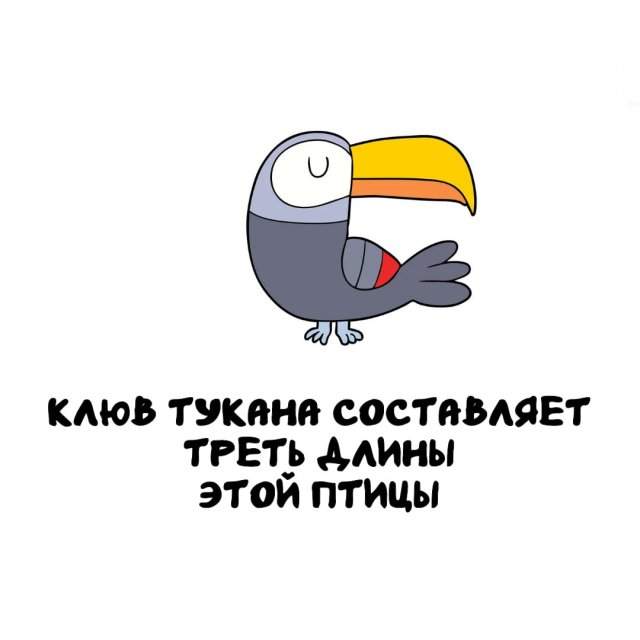 Интересные факты на все случаи жизни