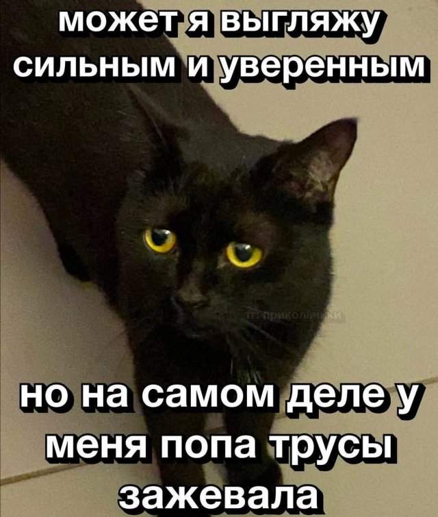 Лучшие шутки и мемы из Сети - 07.08.2025