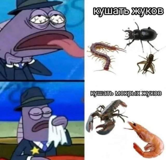 Лучшие шутки и мемы из Сети - 08.08.2025