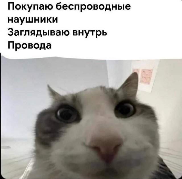 Лучшие шутки и мемы из Сети - 08.08.2025