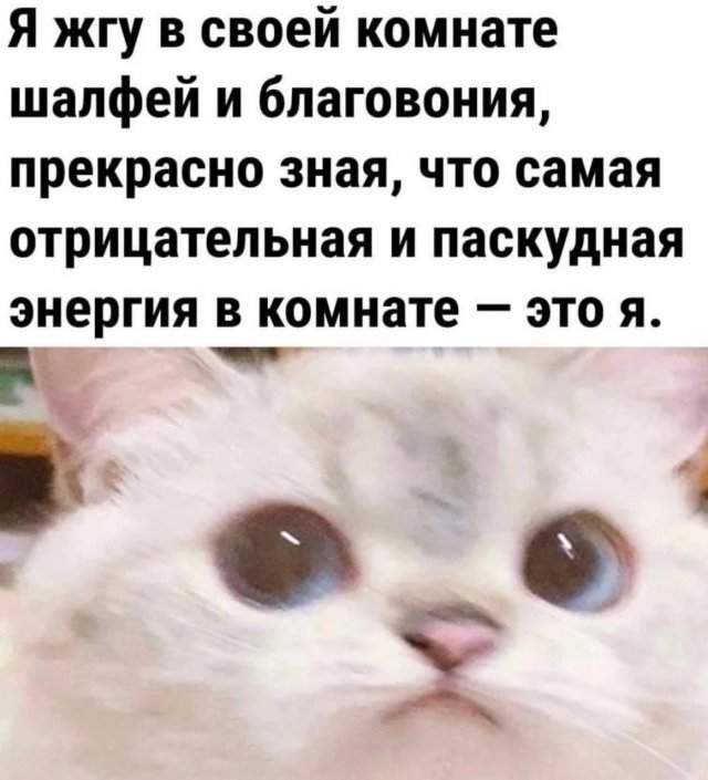 Лучшие шутки и мемы из Сети - 08.08.2025