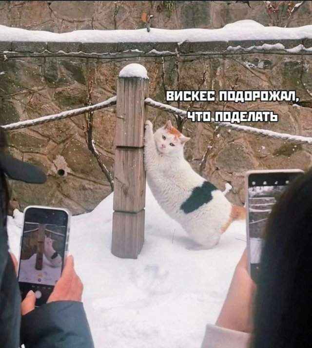 Смешные мемы - 11.08.2025