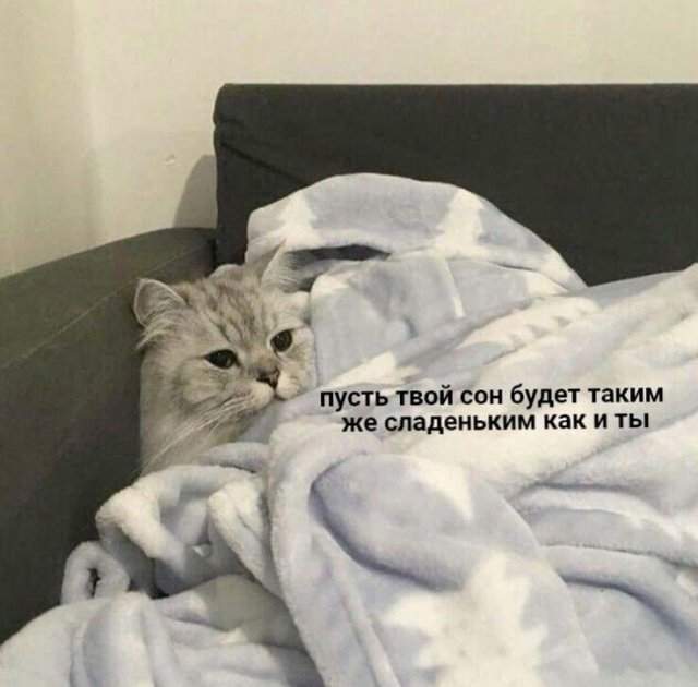 Смешные мемы - 11.08.2025