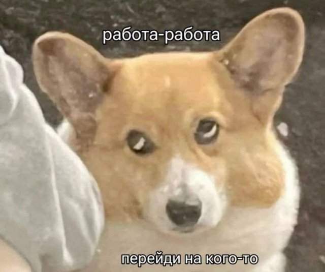 Смешные мемы - 11.08.2025