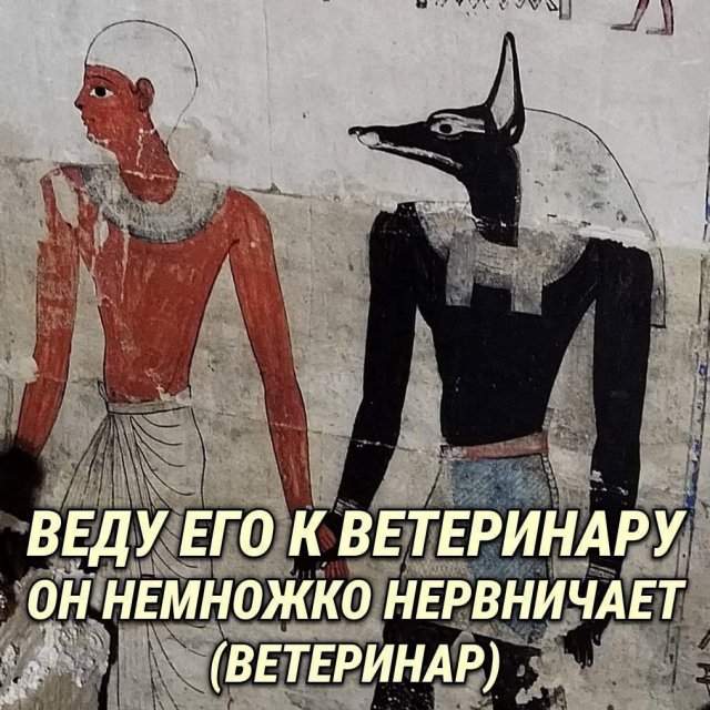 Лучшие шутки и мемы из Сети - 11.08.2025 Лучшие шутки и мемы из Сети - 11.08.2025