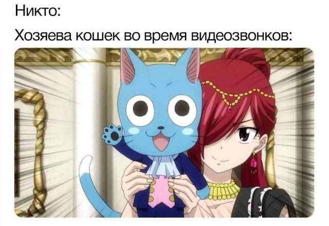 Лучшие шутки и мемы из Сети - 11.08.2025 Лучшие шутки и мемы из Сети - 11.08.2025