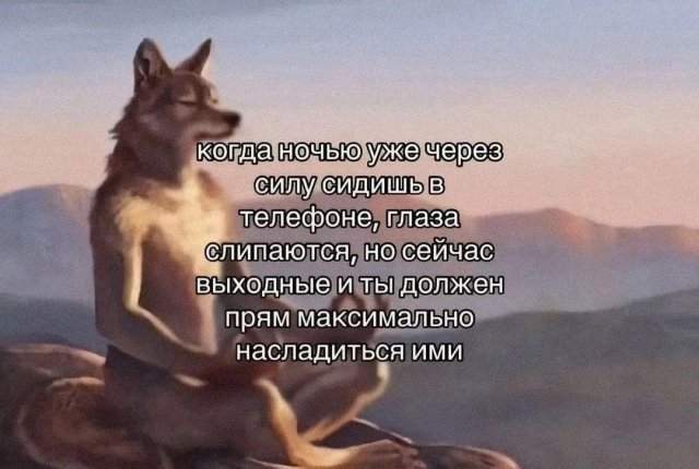 Лучшие шутки и мемы из Сети - 11.08.2025 Лучшие шутки и мемы из Сети - 11.08.2025