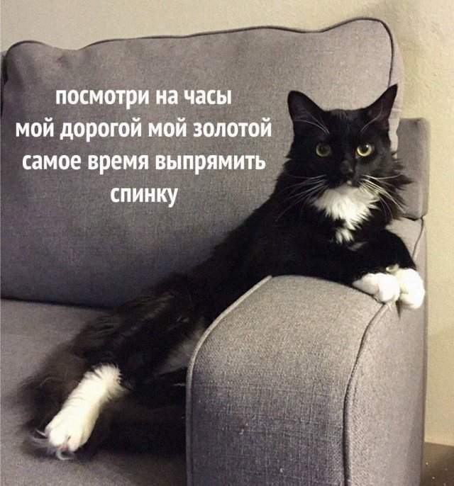 Смешные мемы - 12.08.2025 Смешные мемы - 12.08.2025