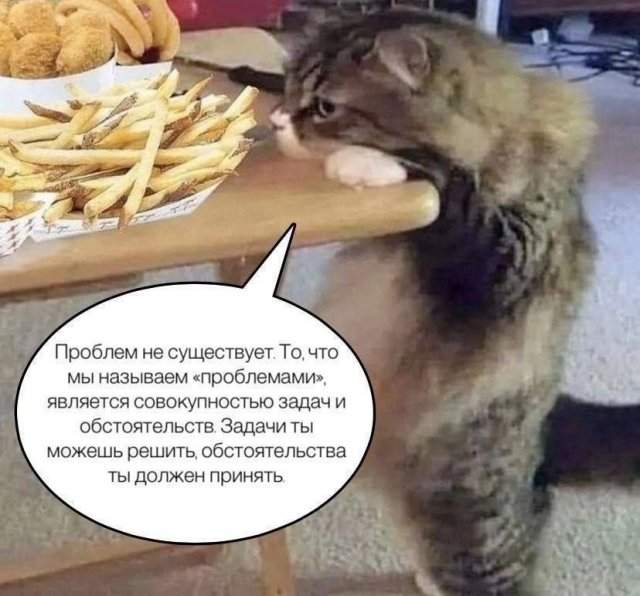 Смешные мемы - 12.08.2025 Смешные мемы - 12.08.2025