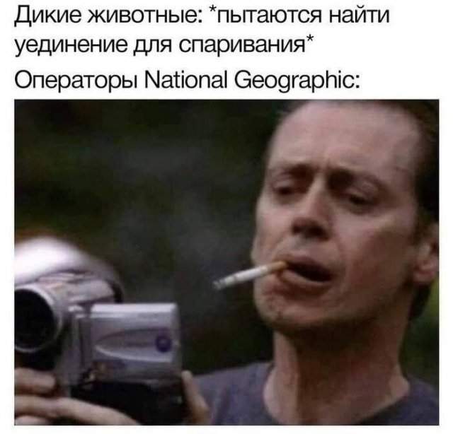 Лучшие шутки и мемы из Сети - 12.08.2025 Лучшие шутки и мемы из Сети - 12.08.2025