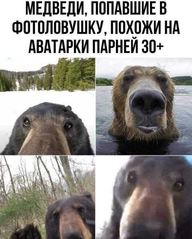 Лучшие шутки и мемы из Сети - 12.08.2025 Лучшие шутки и мемы из Сети - 12.08.2025