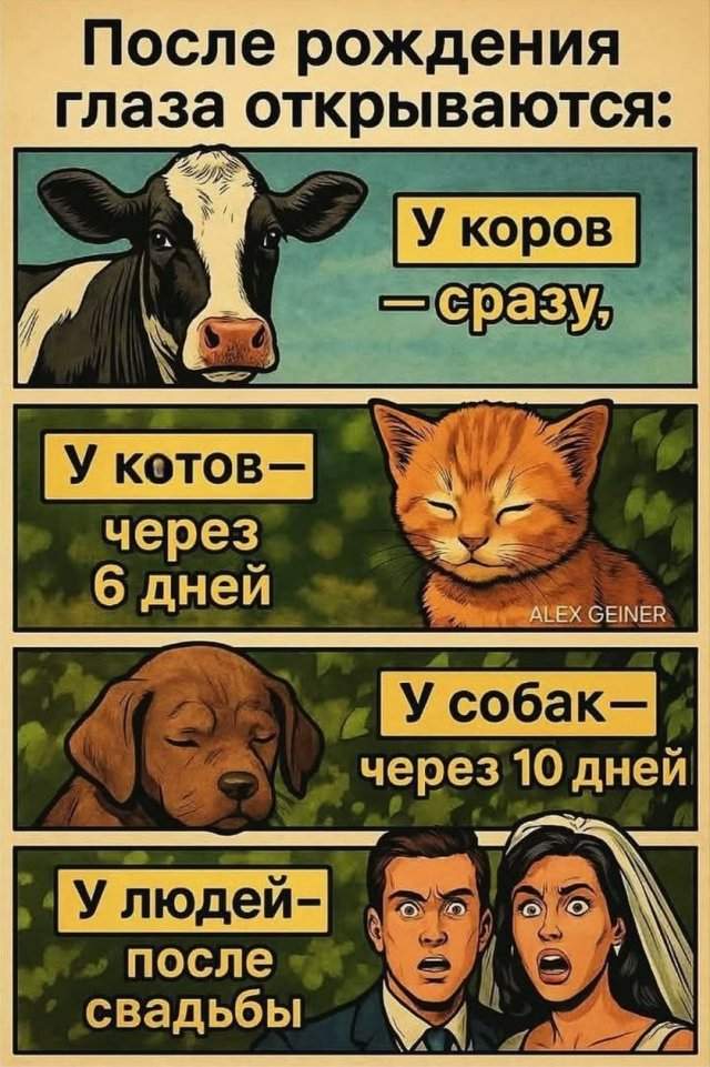 Лучшие шутки и мемы из Сети - 12.08.2025 Лучшие шутки и мемы из Сети - 12.08.2025