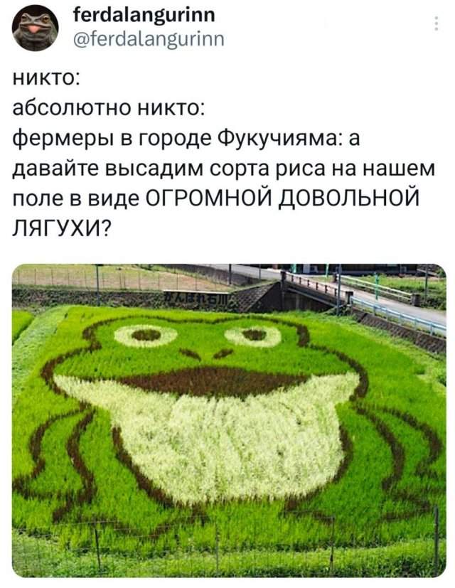 Подборка забавных твитов обо всем