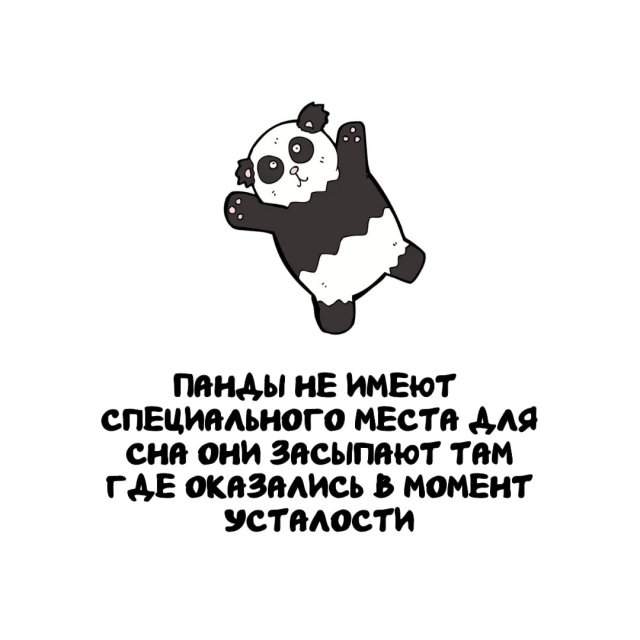 Интересные факты на все случаи жизни