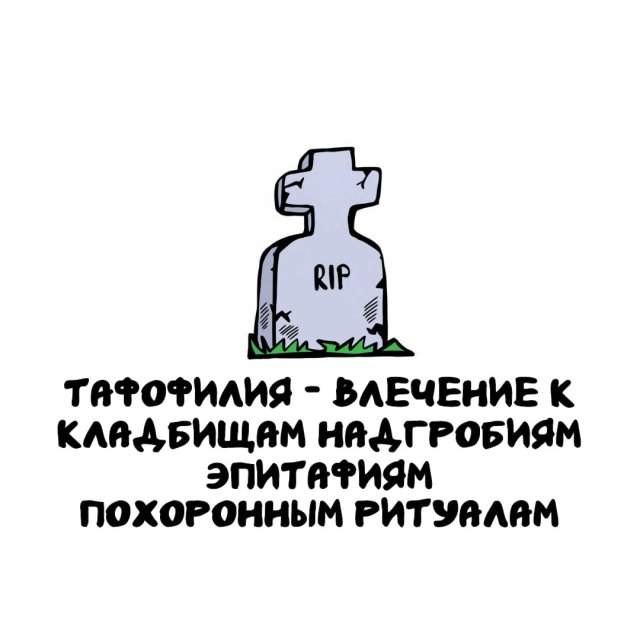 Интересные факты на все случаи жизни