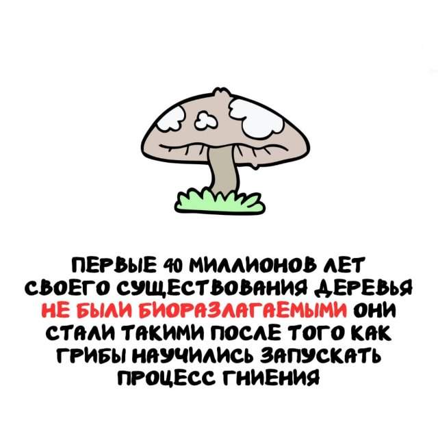 Интересные факты на все случаи жизни