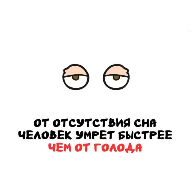 Интересные факты на все случаи жизни