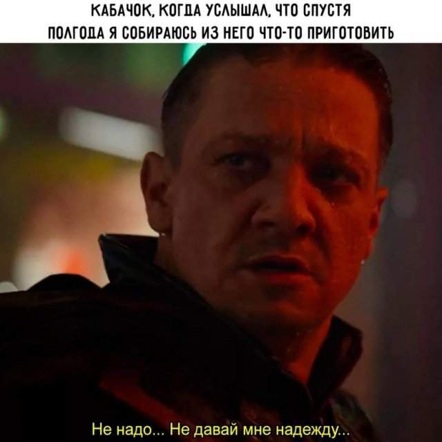 Лучшие шутки и мемы из Сети - 14.08.2025 Лучшие шутки и мемы из Сети - 14.08.2025