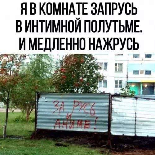 Лучшие шутки и мемы из Сети - 14.08.2025 Лучшие шутки и мемы из Сети - 14.08.2025