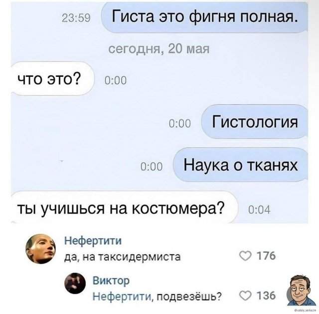 Лучшие шутки и мемы из Сети - 14.08.2025 Лучшие шутки и мемы из Сети - 14.08.2025